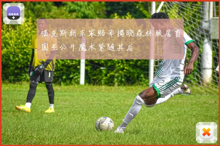 福克斯新东家赔率揭晓森林狼居首国王公牛魔术紧随其后